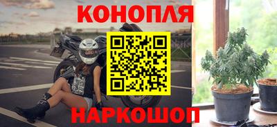 СК Абакан