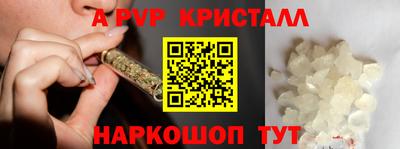 СК Абакан