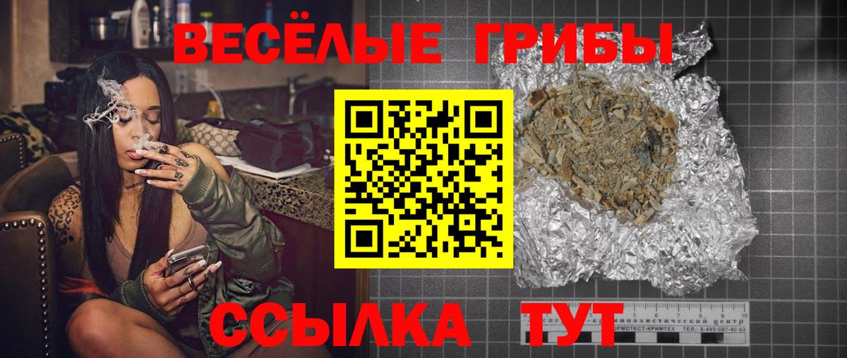 Алейск  купить наркоту  Вход с VPN  Псилоцибиновые грибы прущие грибы 