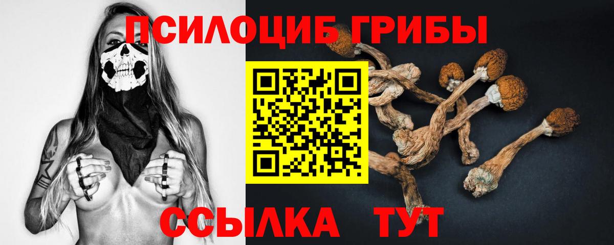 Галлюциногенные грибы ЛСД Алейск